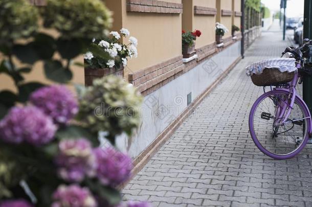 一大街和花和一老的装饰的粉红色的自行车