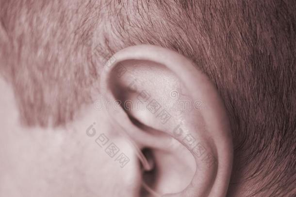 听力帮助采用耳朵关于男人