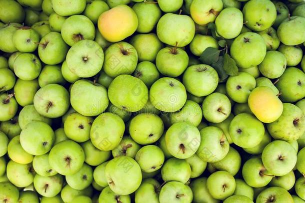 绿色的苹果生的成果背景,健康的有机的新鲜的产品