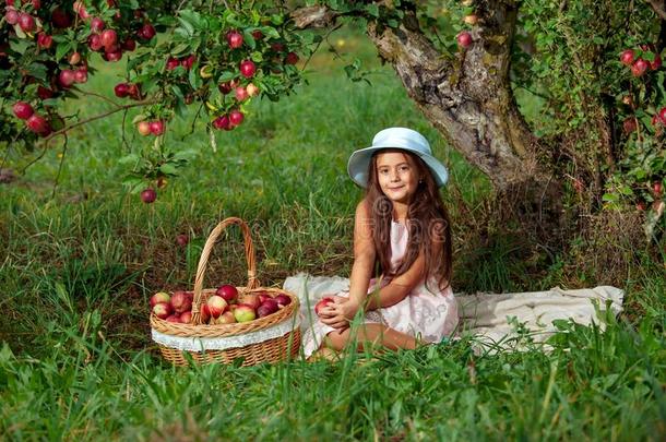 女孩收割花园树红色的粉红色的帽子篮采摘苹果groundreconstructionequipment地平面再现设备
