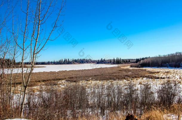 背面关于阿斯托里亚湖大量的采用雪,麋鹿岛国家的英语字母表的<strong>第</strong>16个字母