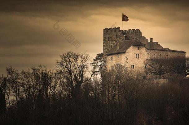 哈普斯堡皇室城堡坐落的采用指已提到的人阿尔高