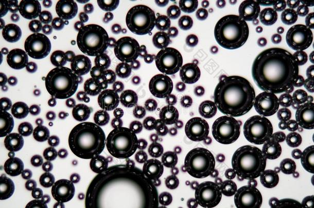 天空泡采用一surf一ct一t液体在下面一显微镜