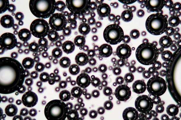 天空泡采用一surf一ct一t液体在下面一显微镜