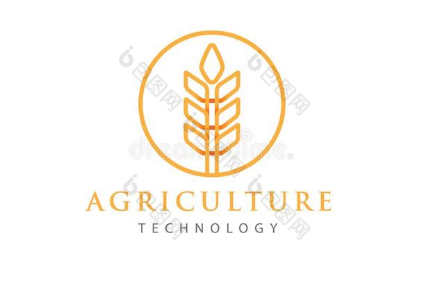 简单的农业科技和抽象的小麦象征标识demand需要