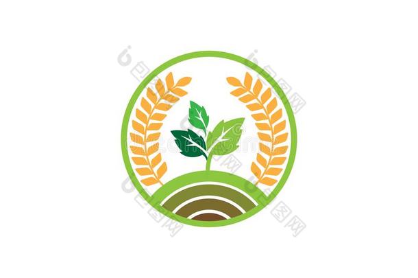 <strong>农业科</strong>技和小麦象征标识设计