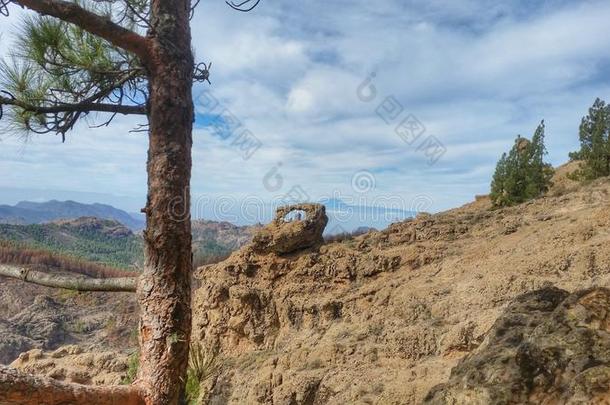 金丝雀岛,自然的风景,山