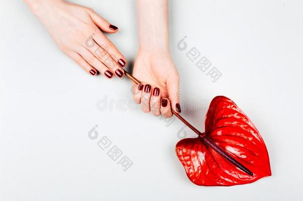 红色的修指甲和花.