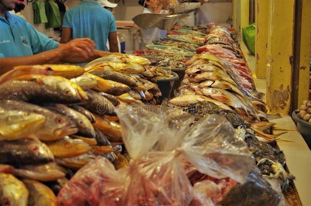 传统的海产食品交易展览采用特<strong>古</strong>西加尔巴洪都拉斯