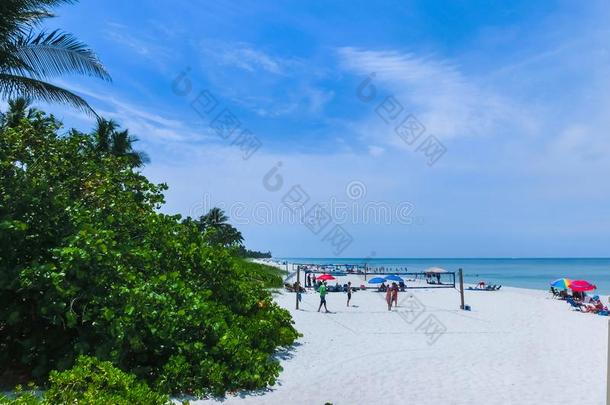 旅行者享有指已提到的人范德比尔特海滩采用那不勒斯,弗罗里达州.