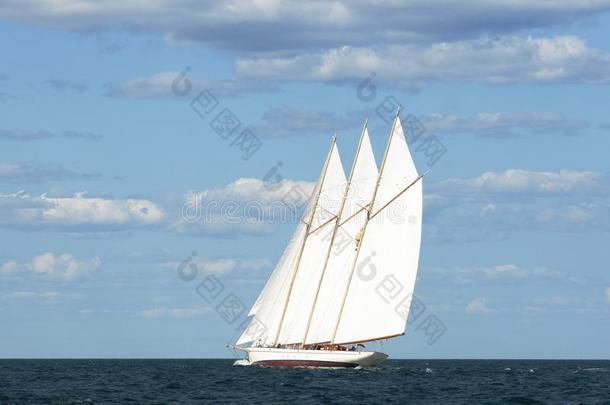 真的num.三-有桅的纵帆船帆船水手帆船运动向缅因州seacoast海岸