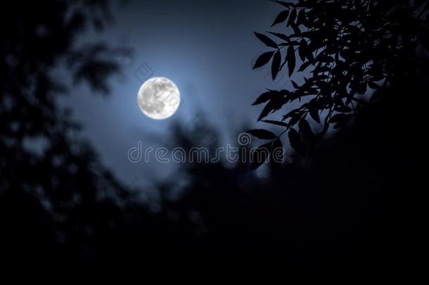 夜风景关于天和超级的月亮和明亮的月亮light北希