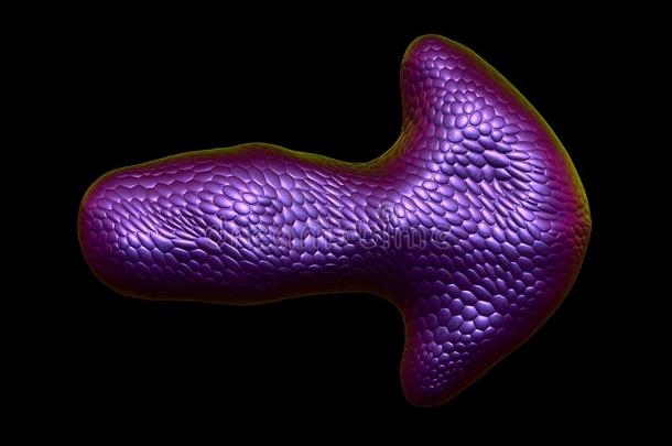 矢使关于自然的紫色的蛇皮质地隔离的向bifidobacteriumlactentis乳糖双歧杆菌