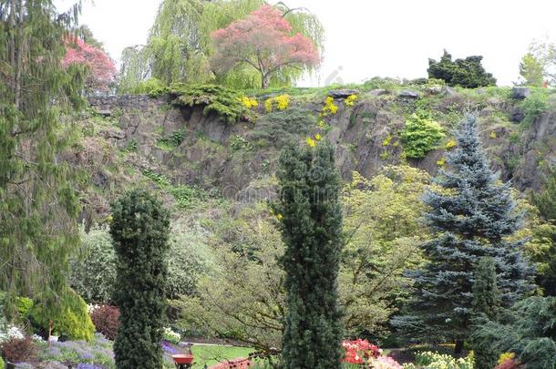 春季风景在女王伊丽莎白公园花园,不列颠的柱状