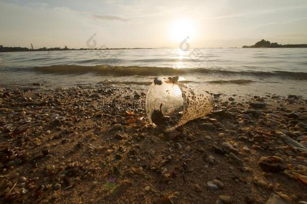 塑料制品杯子向海滩海滩和洋polluti向