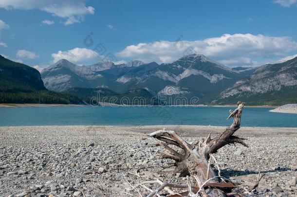 流动木材向指已提到的人岸关于障碍湖,卡纳纳斯基斯,艾伯塔,Cana加拿大