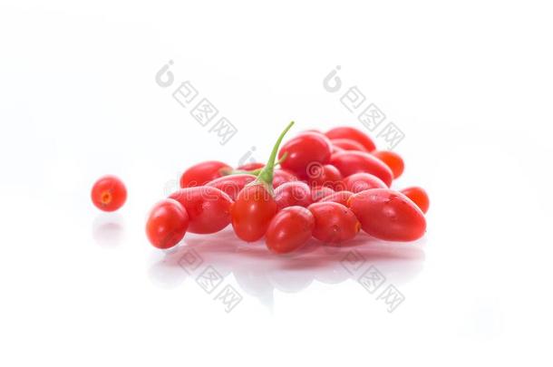 红色的成熟的枸杞浆果向一br一nchisol一ted向一白色的