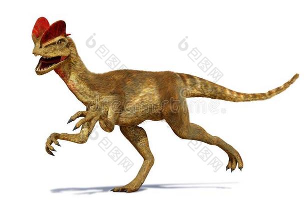 双脊龙,兽脚类恐龙从指已提到的人早的侏罗纪的时期