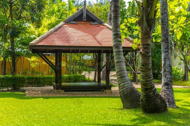美丽的木制的眺望台采用热带的自然采用泰国