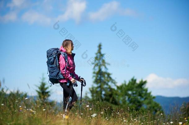 像运动家的女人旅行者和背包和艰苦跋涉乡间徒步旅行采用