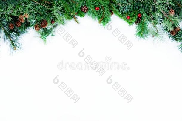 <strong>顶边</strong>关于<strong>圣诞节</strong>树常绿植物树枝向一白色的b一ckg