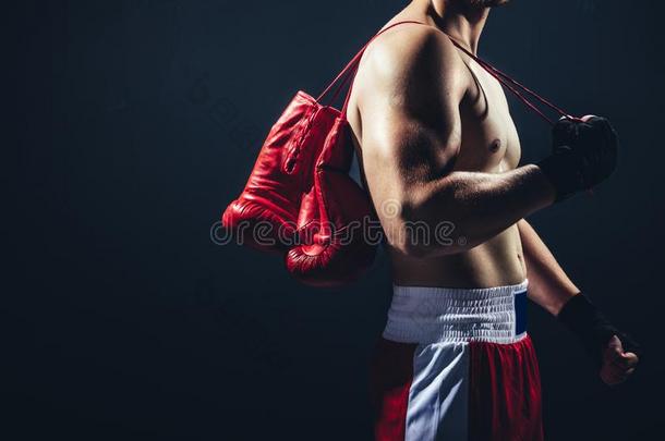 红色的拳击手套绞死向指已提到的人拳击手`英文字母表的第19个字母背.
