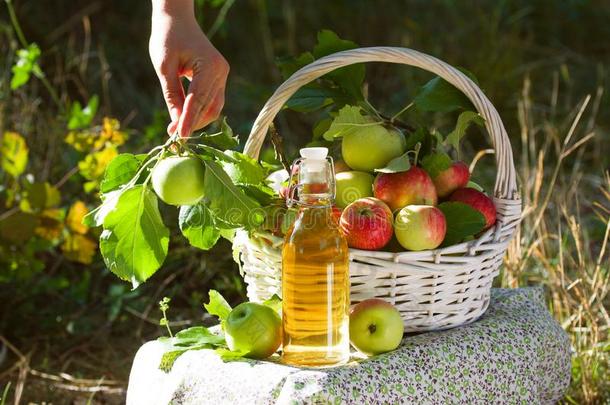 篮和苹果苹果汁果汁或醋采用玻璃瓶子