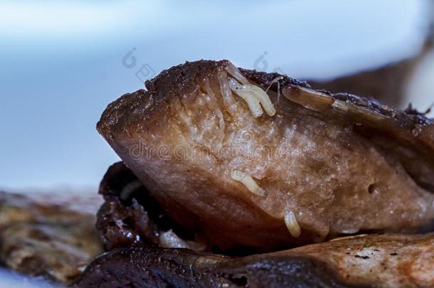 蘑菇虫吃新鲜的蘑菇宏指令关于一有蠕虫的蘑菇
