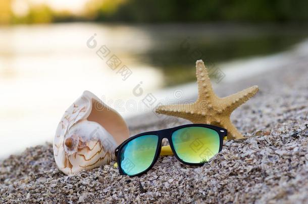 海滩背景,太阳眼镜,壳和海星.夏康塞普