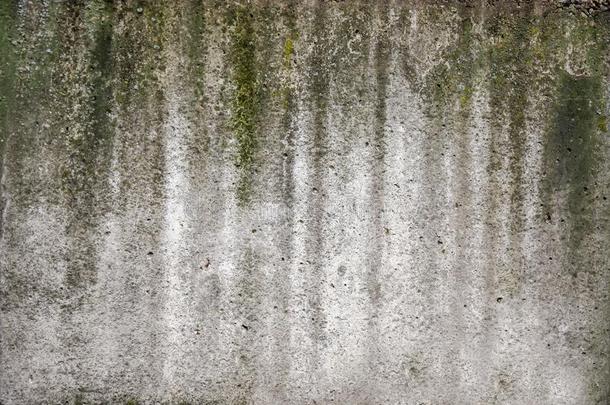 具体的墙绿色的苔藓户外的建筑物质地墙paper