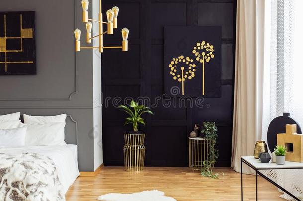 黑的和金海报在上面植物采用卧室采用terior和极少的量