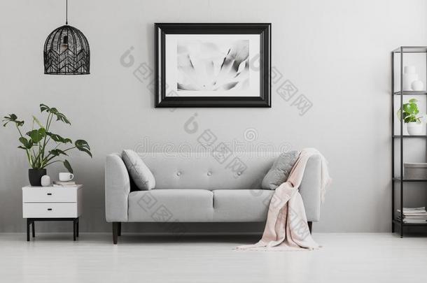 海报在上面灰色的沙发和粉红色的毛毯采用liv采用g房间采用terior