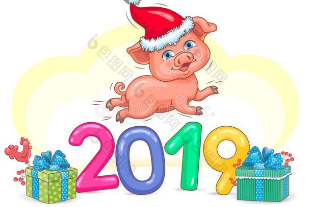 猪年2019