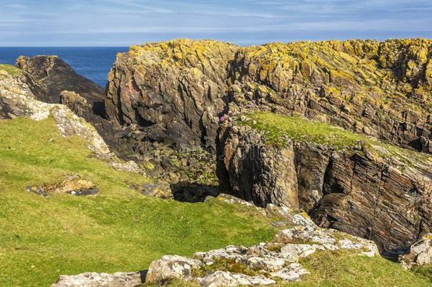 海景画越过指已提到的人岛关于吊楔岸,苏格兰