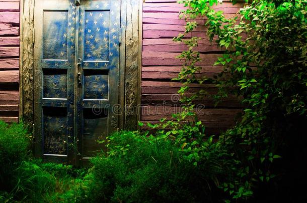 魔法仙女-传说木制的门.仙女-传说院子在夜.