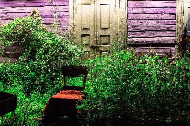 魔法仙女-传说木制的门.仙女-传说院子在夜.