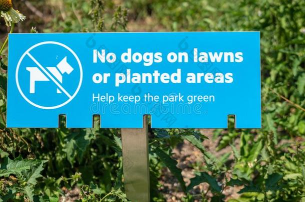 一不公狗向草地或种植地区,帮助保持指已提到的人公园绿色的Slovenia斯洛文尼亚
