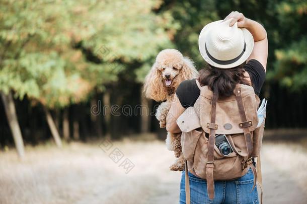 女人旅行支票和背包佃户租种的土地狗和有样子的在森林.