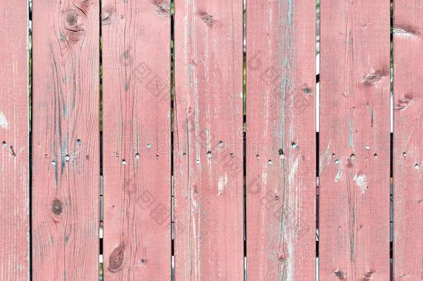 墙关于木制的板条和剥皮红色的颜料.一栅栏关于老的公猪