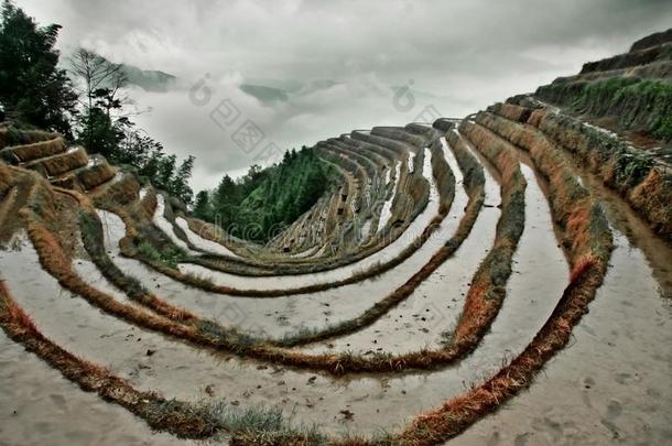 红色的台阶和水.多雾的秋风景和稻梯田