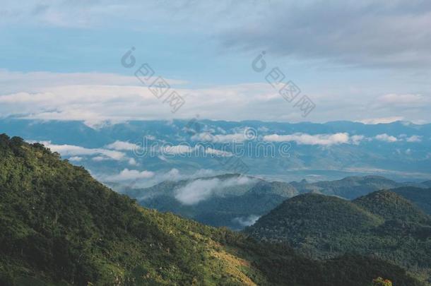 看法关于绿色的小山和树.