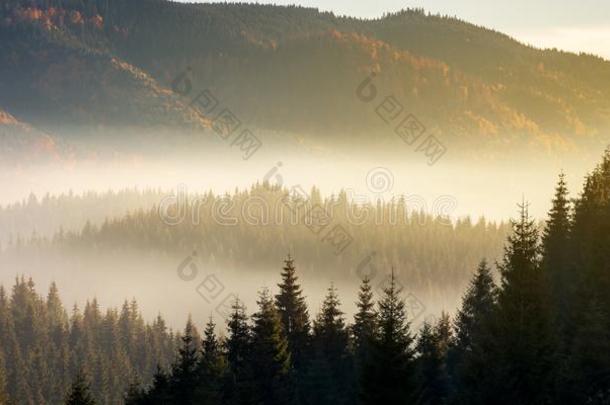 美丽的有雾的风景采用秋