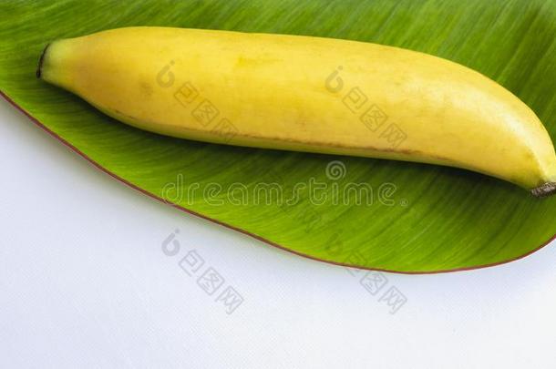 新鲜的香蕉有软的果肉状的肉和黄色的皮什么时候成熟的和