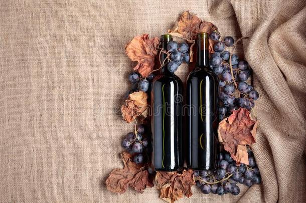 红色的葡萄酒瓶子和葡萄和干燥的在上面藤树叶.