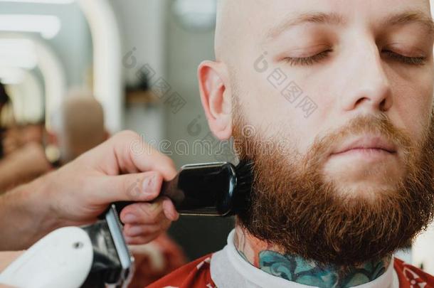 有胡须的理平头的男人男人采用理发店.理发师味道平淡的低级啤酒从落下将切开头发wickets三柱门