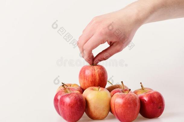 苹果向光灰色的背景.苹果采用明亮的多汁的颜色