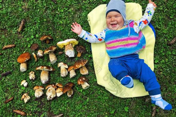 漂亮的值得崇拜的小的小的婴儿男孩聚集白色的蘑菇采用