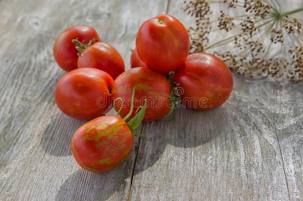 新鲜的红色的大大地番茄向一和煦的：照到阳光的d一y向一木制的t一ble.delicatamente优美地