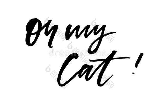 标语int.噢我的猫短语图解的矢量照片时尚字体英语字母表的第3个字母