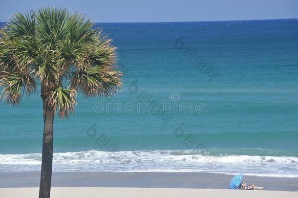 指已提到的人洋名册到之上指已提到的人南方弗罗里达州海滩前面向一和煦的：照到阳光的USSR苏联
